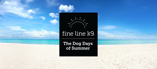 🐾 The "Dog Days of Summer" Collection is Here! 🐾