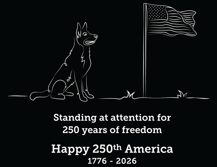 America's 250th Birthday