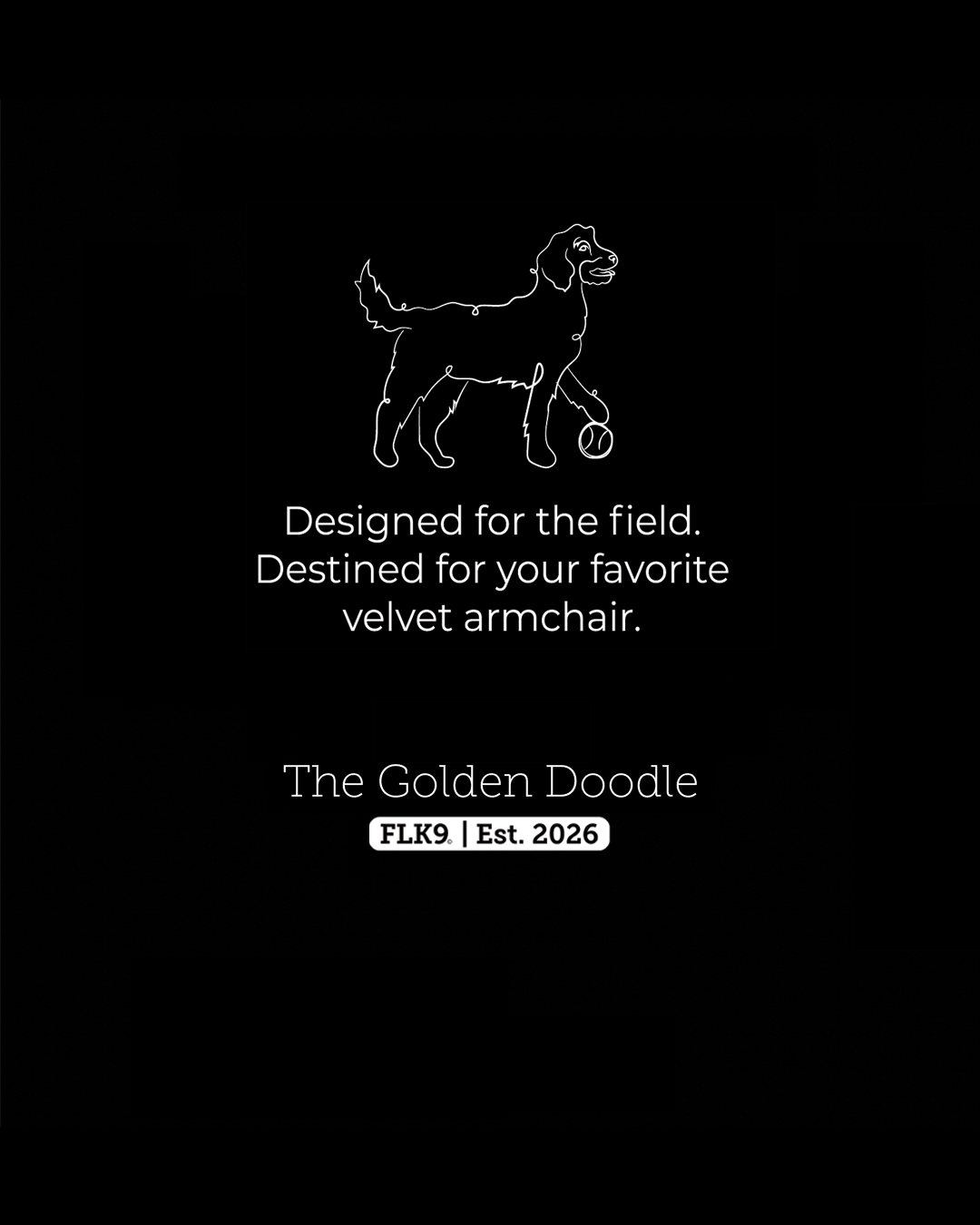 GoldenDoodle